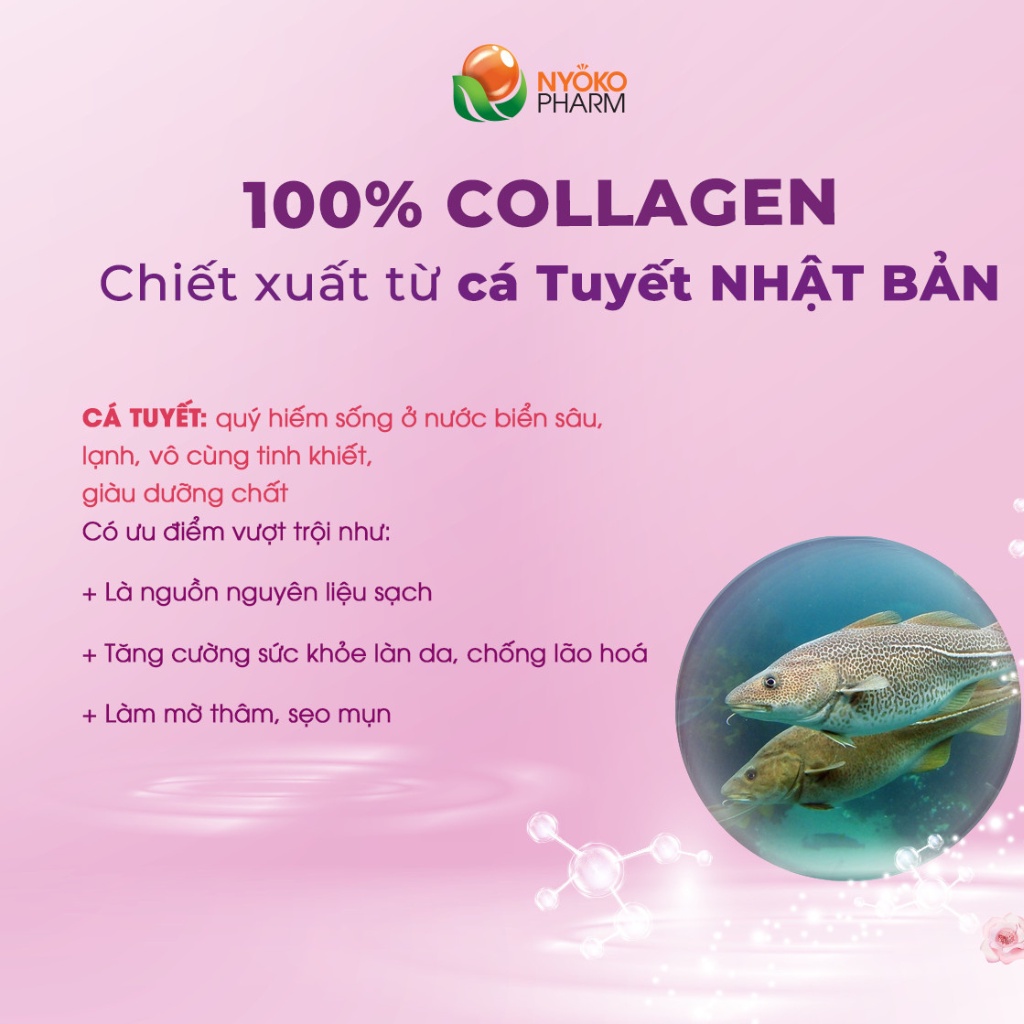 Collagen uống thủy phân Nyoko chiết xuất cá tuyết Nhật Bản chống lão hóa hàm lượng 1250mg/viên hộp 3 lọ x 20 viên