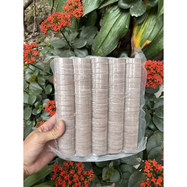 Vỉ 100 viên nén ươm hạt cao cấp Nova