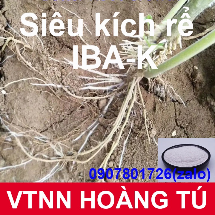 IBA-K 98% - Siêu kích rễ - tan trong nước 20gr-50gr