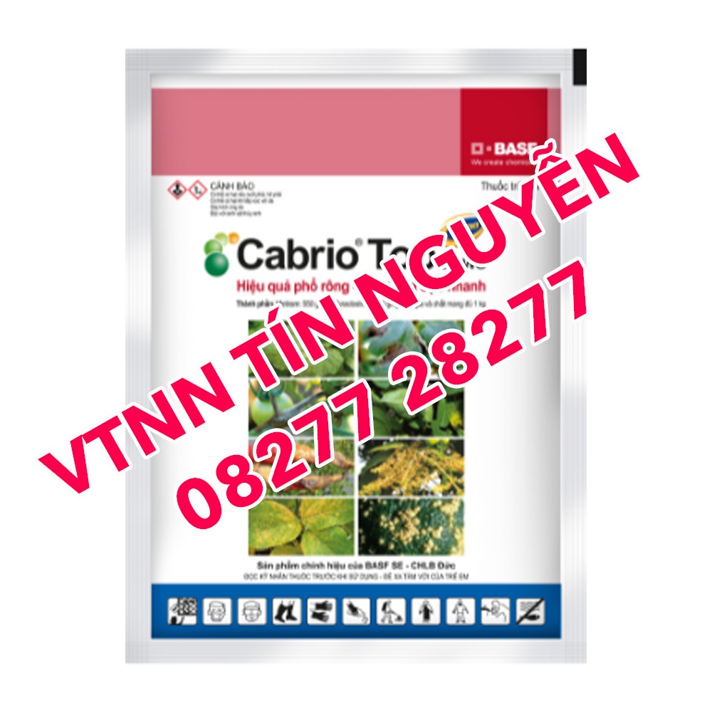 Thuốc Đặc trị bệnh Sương mai và Thán thư Cabrio Top 600WG 100gr -BASF