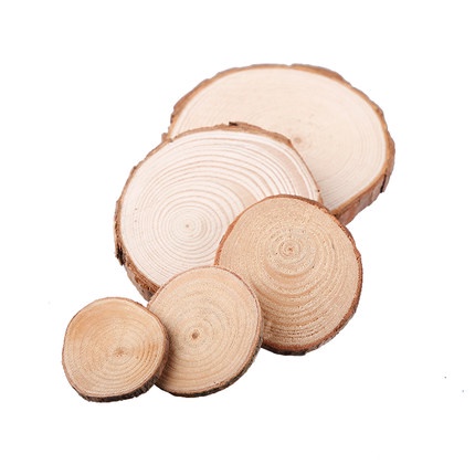 Gỗ khoanh dày 5ly nhiều kích thước