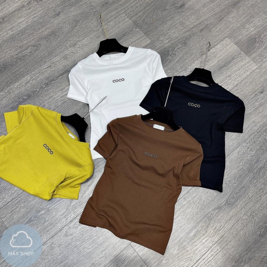 Áo Phông Ngắn Tay Dáng Vừa Đính Đá Chữ Côc Cổ Tròn Nhiều Màu CHất Zip Tàu Quảng Châu