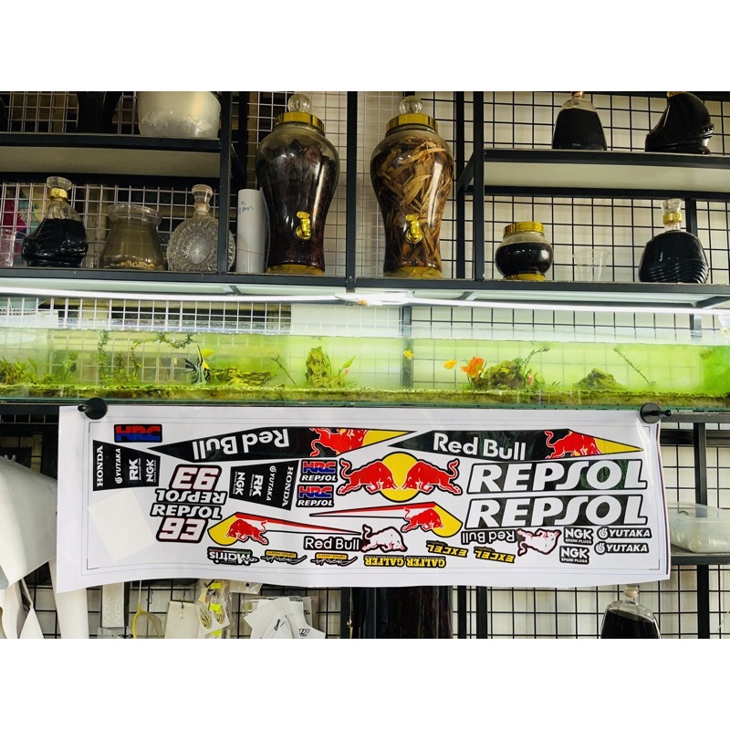 TEM XE WINNER REDBULL REPSOL