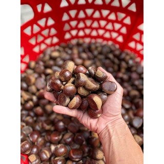Hạt Dẻ Sống 5kg