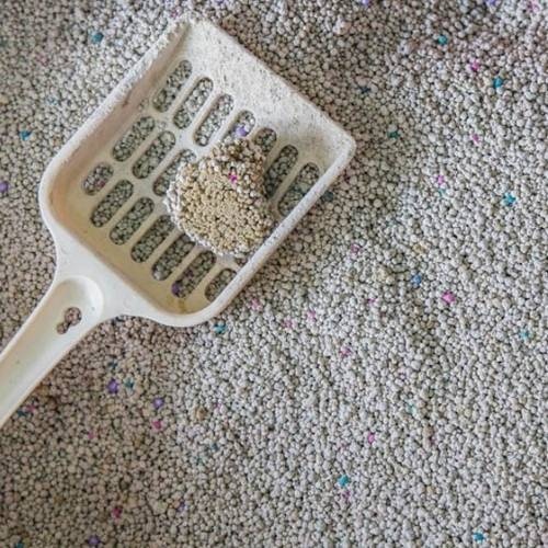 Cát vệ sinh cho mèo ít bụi vón tốt EU LITTER mẫu mới 4kg