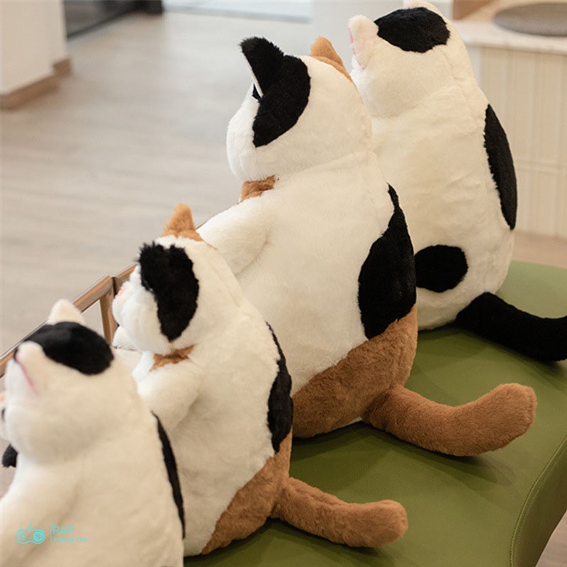 Mèo bông bi bự, mèo bông chấm phẩy  Ráp dễ thương 2 size 2 màu đáng yêu làm gối ôm, trang trí,quà tặng