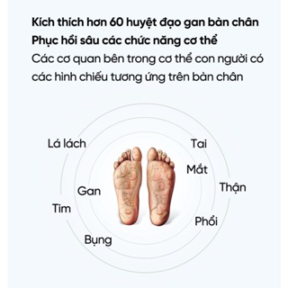 Máy massage Bâm Huyệt Xiaomi XGEEK - Mát xa chân 360 độ - Massage đa điểm