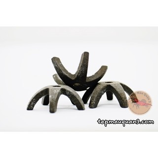 Đồ chơi sao nhỏ cho tép cảnh - cả cảnh