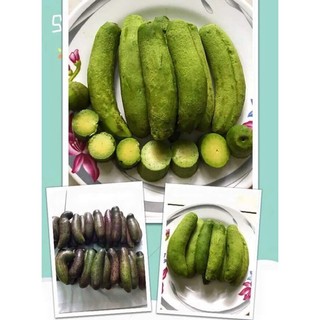 Cây bơ Loka giống (cây khỏe đẹp, được kiểm tra cây)