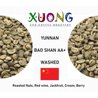 Cà Phê Nhân Xanh Vân Nam / Yunnan Arabica Catimor AA+ Washed - Xưởng 2nd Coffee Roastery