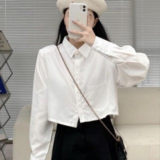 Áo sơ mi croptop (không lộ bra) tay dài phồng cổ V và áo croptop voan tay dài cổ tròn