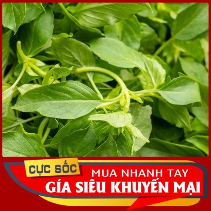 Lá É Trắng nấu lẩu Gà tươi - Hàng luôn có sẵn [Thảo Dược Ngọc Ánh]