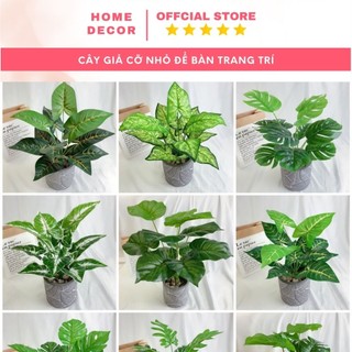 Cây giả trang trí để bàn HOME DECOR Cây lá nhựa cỡ nhỏ trưng bàn, tủ kệ, phụ kiện chụp ảnh, chiều cao 32cm