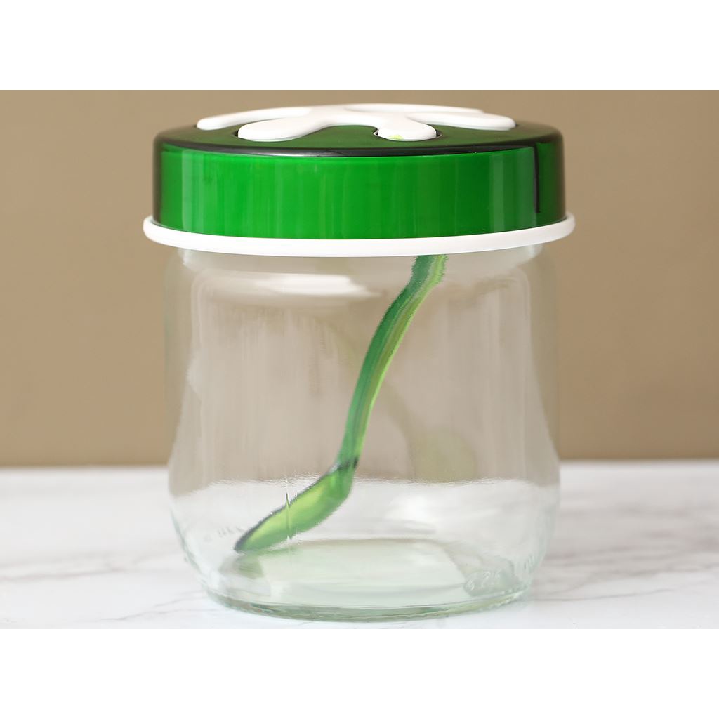 Hũ Thuỷ Tinh Tròn Trơn Nắp Decor Herevin 425ml