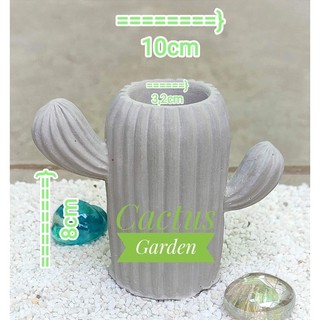 Lưu ý các mẫu chậu lỗ cạn hoặc nhỏ, nhiều mẫu