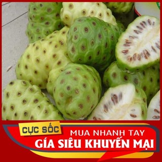 4kg nhàu tươi trái nhào to xanh