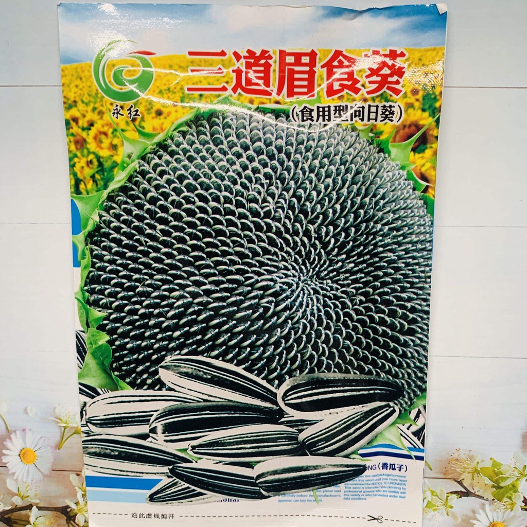 Hạt giống hoa hướng dương lấy hạt. 20 gr/gói