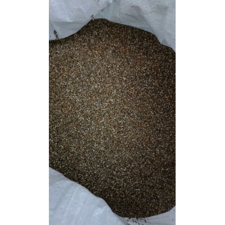 500g Hạt Chia Đen Organic Nam Mỹ
