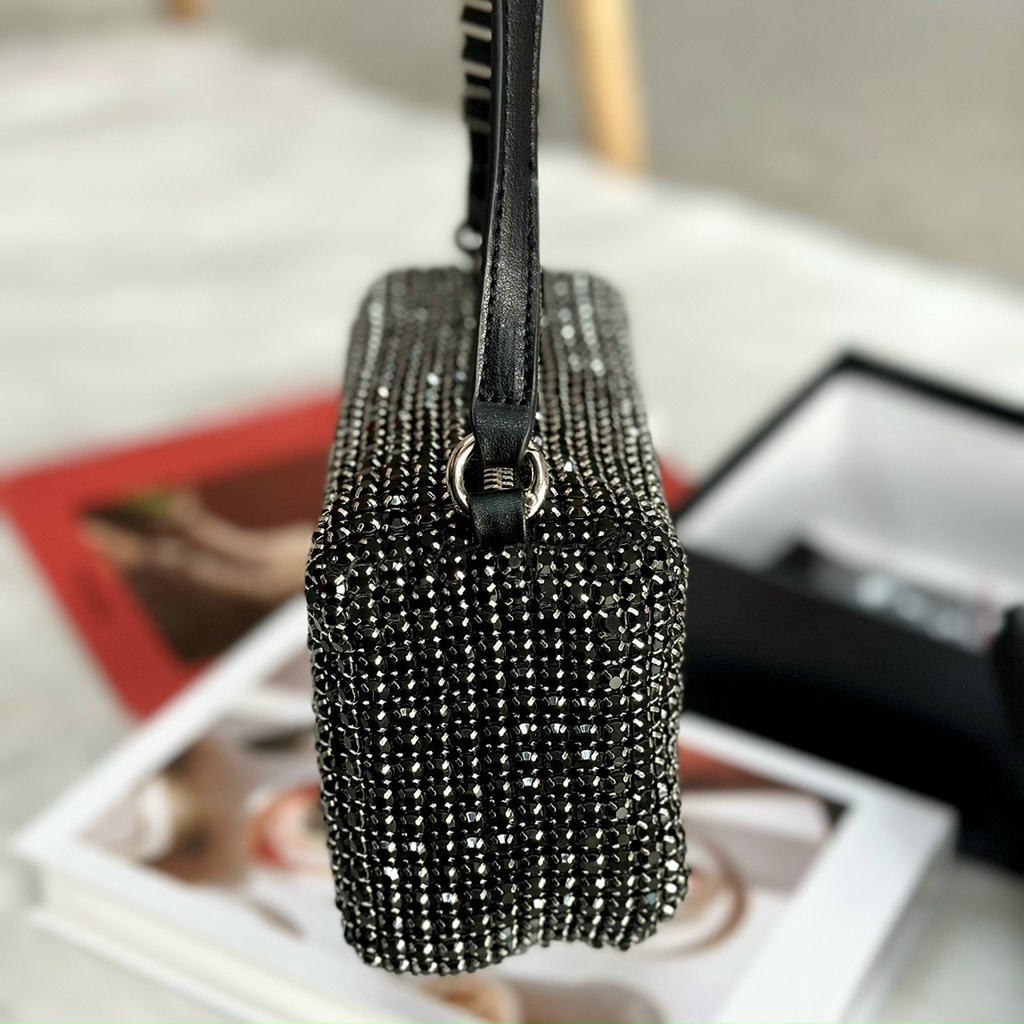 Túi Alexander Wang Bag