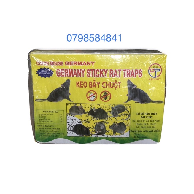 20 miếng keo bẫy chuột