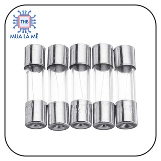Cầu chì thủy tinh 2A 250V 5x20mm(10C)