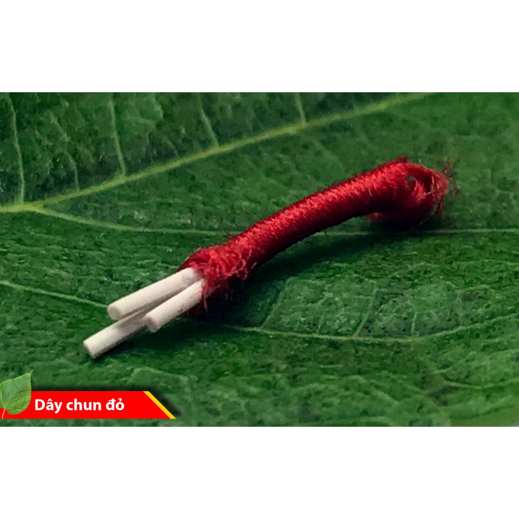 Dây Chỉ đỏ, Dây chun co dãn dùng xâu vòng dâu tằm, vòng đá phong thủy