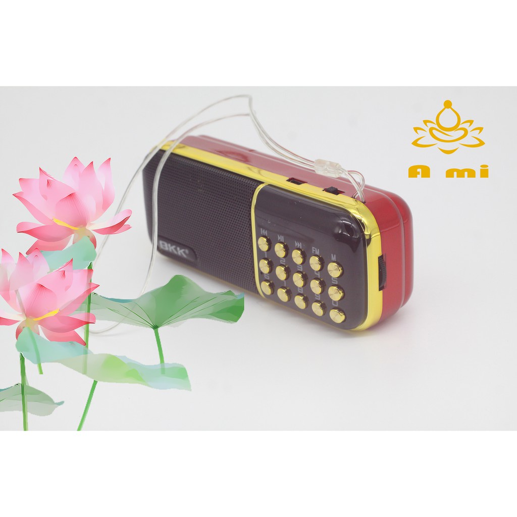 Máy nghe Pháp , tắm ngôn ngữ hai pin chính hãng BKK B851 Âm thanh trung thực ,có FM ,Bảo hành chuẩn