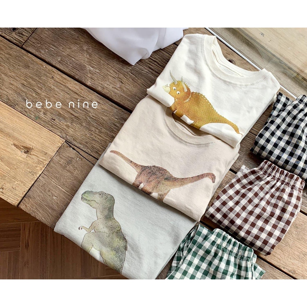 🦕DINOSAUR CHECK SET🦖