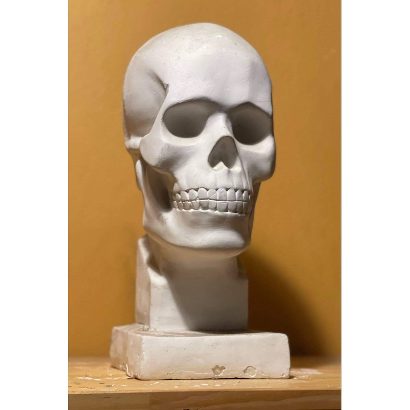 Tượng thạch cao Đầu Lâu 45cm - trang trí, tập kí họa,trang trí cafe ,Halloween, luyện thi V