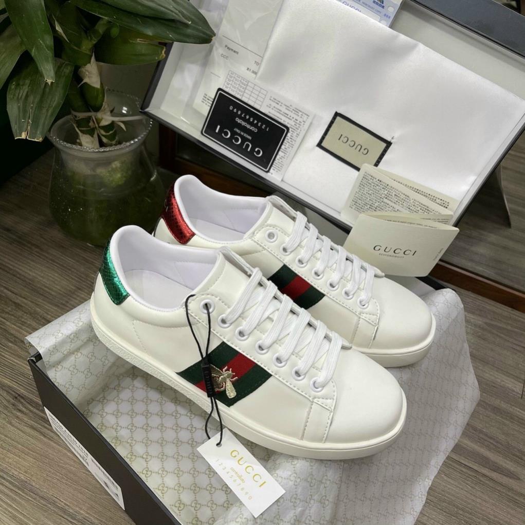 Giày thể thao Gc For Love, Giày Gc chung ngang xanh đỏ phối đồ nam bản đẹp Full Box