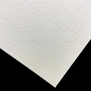 Giấy vẽ canson a5 - a4 - a3 đl 220gsm.