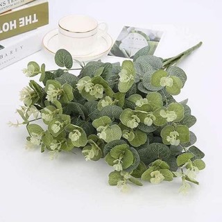 Cụm lá táo mốc