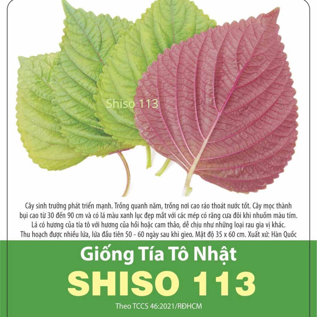 Hạt giống Tía Tô Nhật, gói 0,5 gram