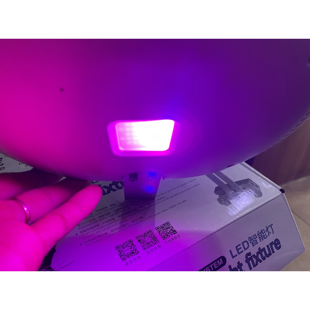 ĐÈN LED WRGB AQUA BLUE S6