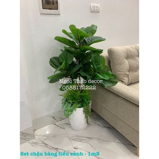 Set chậu bàng tiểu cảnh giả - cây giả trang trí