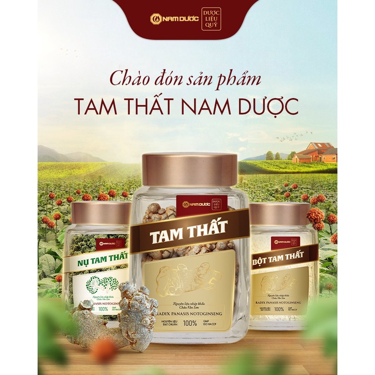 Nụ hoa tam thất Nam Dược, hộp 60g, nhập khẩu đạt chuẩn, giúp bổ máu, ngủ ngon, thanh nhiệt, ổn định huyết áp, tim mạch