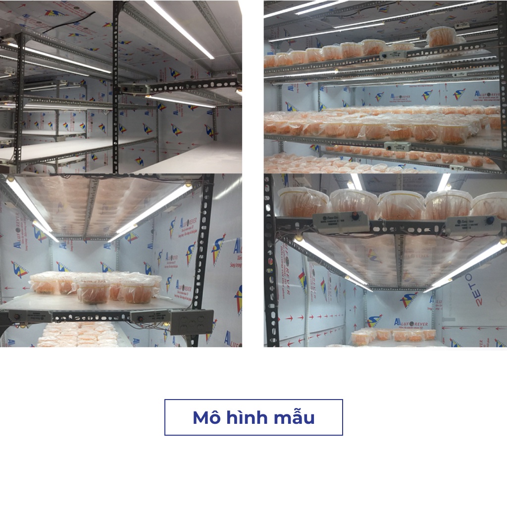 Đèn LED Trồng Rau Rạng Đông