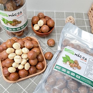 Hạt macca đăklăk size đại sấy lạnh ngon giòn hạt mắc ca, mac ca