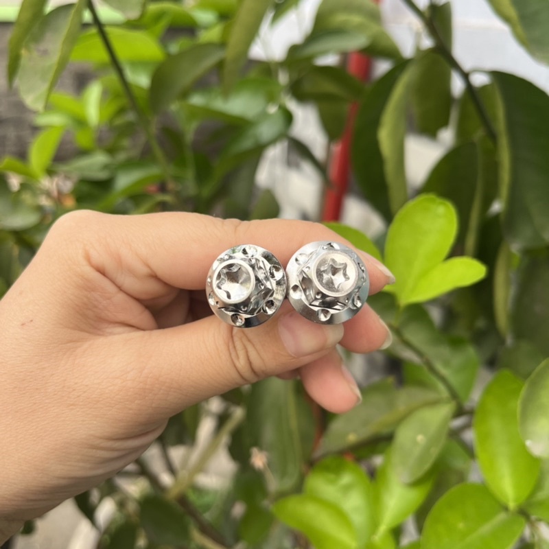 Ốc pas heo Ya 10li23 inox304 Ex150/Ex10