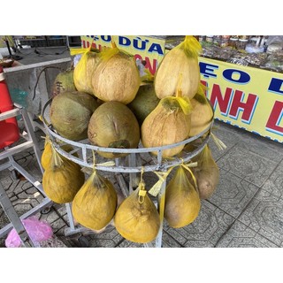 Dừa Sáp Trà Vinh- (bao sáp, chất lượng ,bao hàng)