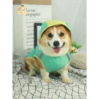 Áo Mưa Dạ Quang Bigsize Có Mũ Trùm Đầu Cho Chó - Bigsize Raincoat For Dogs
