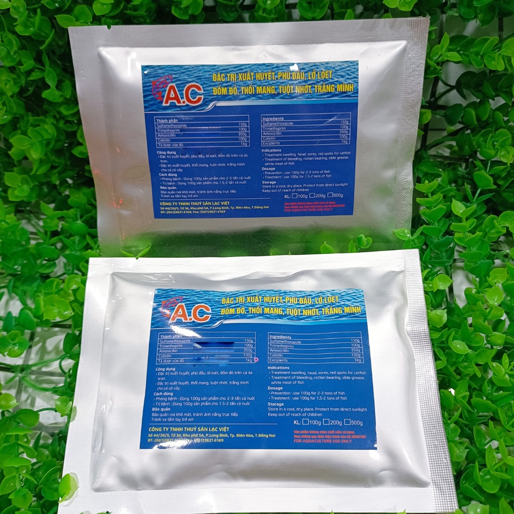 Kháng sinh AC chữa xuất huyết, phù đầu, lở loét, đốm đỏ, thối mang, tuột nhớt, trắng mình cho cá, ếch