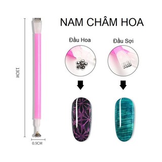 Cây Nam Châm Hoa Tạo Hiệu Ứng Mắt Mèo
