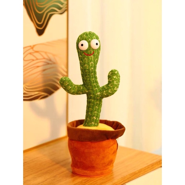 Cây xương rồng nhảy múa