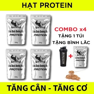 Ombo 4 túi + tặng 1 túi sữa tăng cân tăng cơ hạt protein + tặng bình lắc.