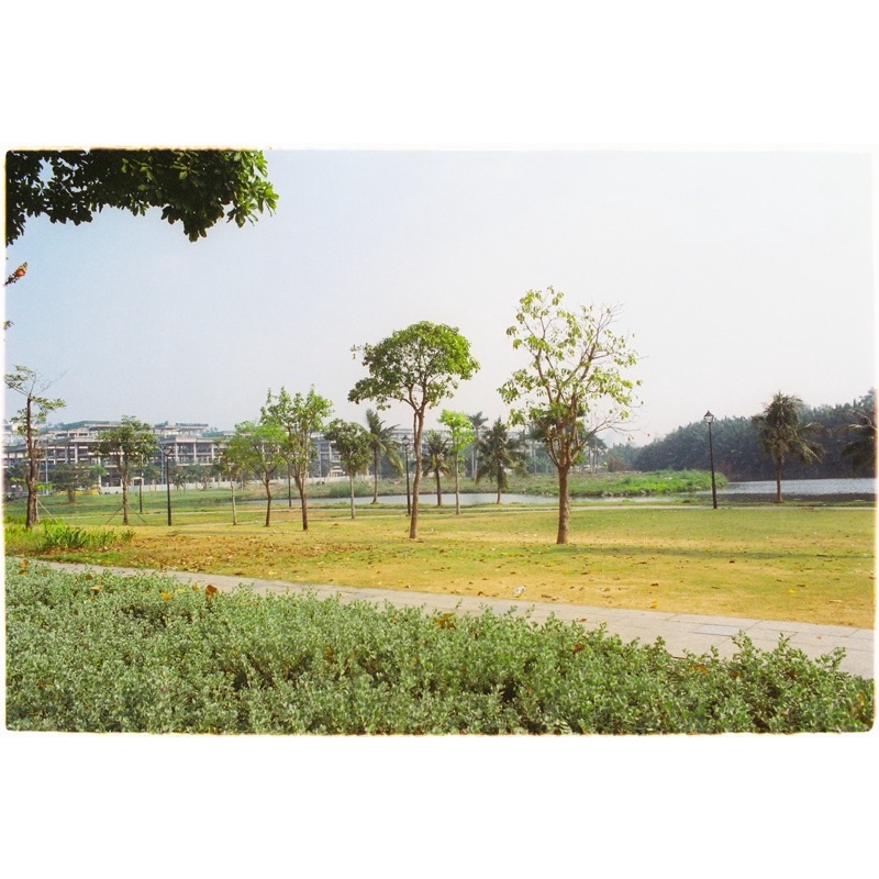 - Film 135  giá rẻ, 24 kiểu, film outdate, film Italia