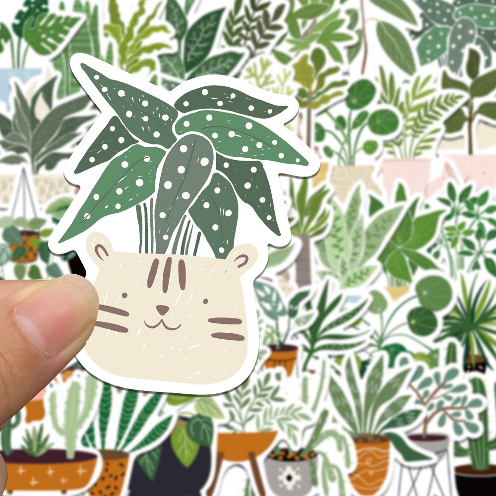 Sticker dán hình kiểng lá không thấm nước, sticker dán điện thoại hình kiểng lá monstera, philodendron, anthurium
