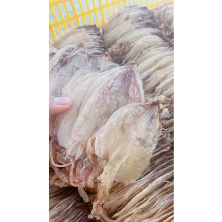 10 CON LỠ BỰ ĐẸP MỚI MGON CÀ MAU