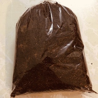 1kg sơ dừa đã qua xử lý