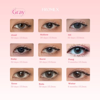 Các mẫu lens màu xám hot nhất